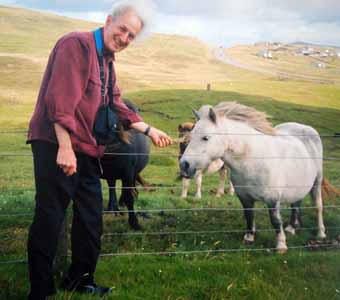 Feeding ponies in Shetland Islands