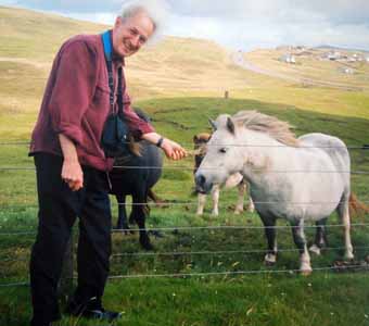 Feeding ponies in Shetland Islands