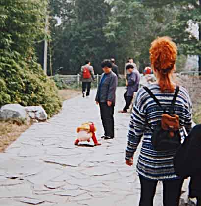 disabled traveler in wheelchair avoids poop in China