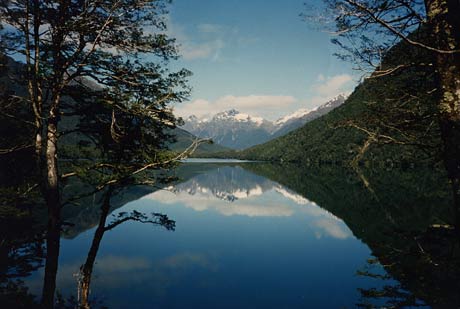 disabled travel new zealand lake on drive