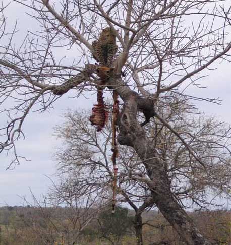 Travel South Africa